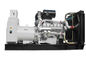 Latest Design Open Type Small Diesel Generator Set With Engine Model 403D-11G