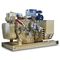 Electric Marine Diesel Generator Set 14L Displacement 6 Cylinders CCS / BV