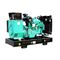 50hz High Performance CUMMINS Diesel Generator Set 30kw 38kva Diesel Fuel
